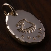 Eagle Face Oval Metal