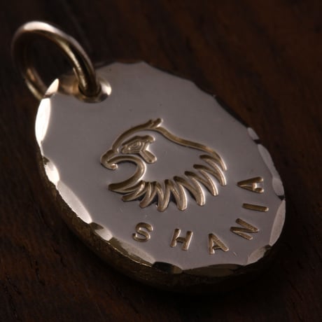 Eagle Face Oval Metal