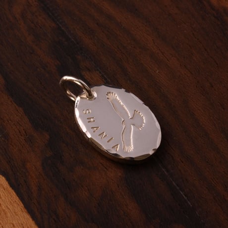 Eagle  Oval Metal