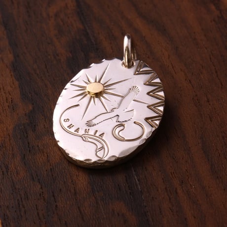 Sun Eagle Oval Metal