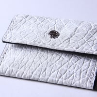 Basis coin (Hippopotamus) 1点物