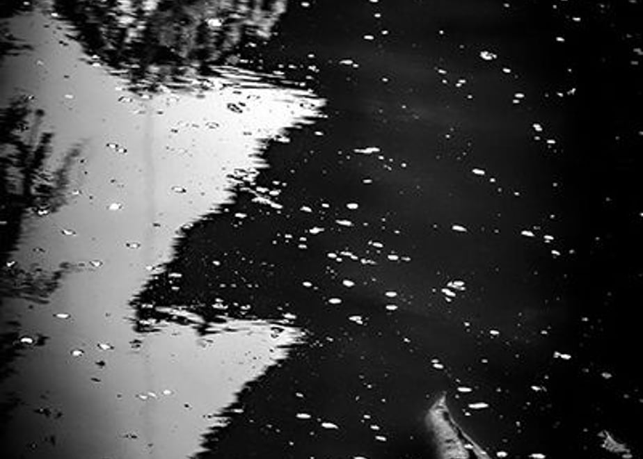 6123a2c784ca63520e9c2081