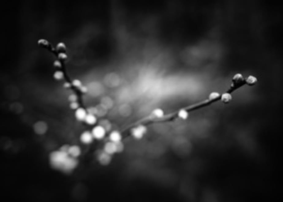 66eb652080c8d8024c33289e