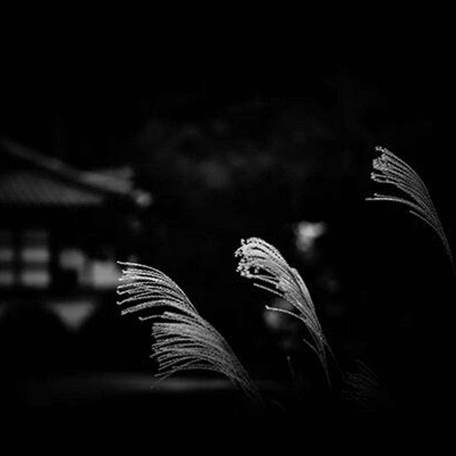 612372a3e494333d22575b8a