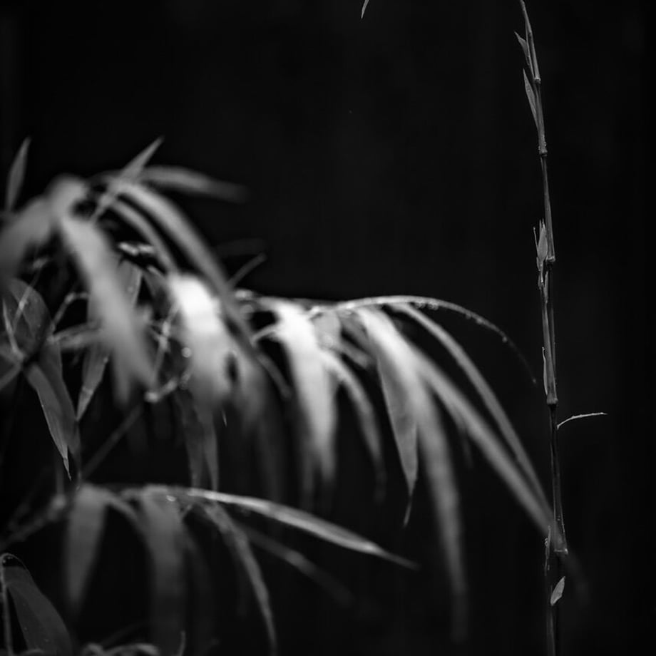 63f75877fd12d1323a6b7cb0
