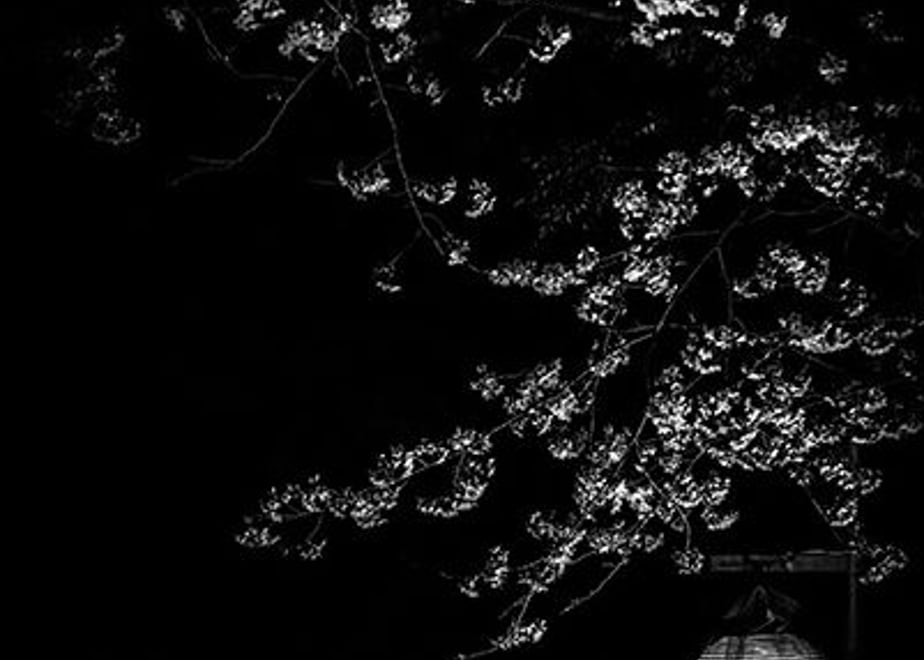 6123a2c784ca63520e9c2081