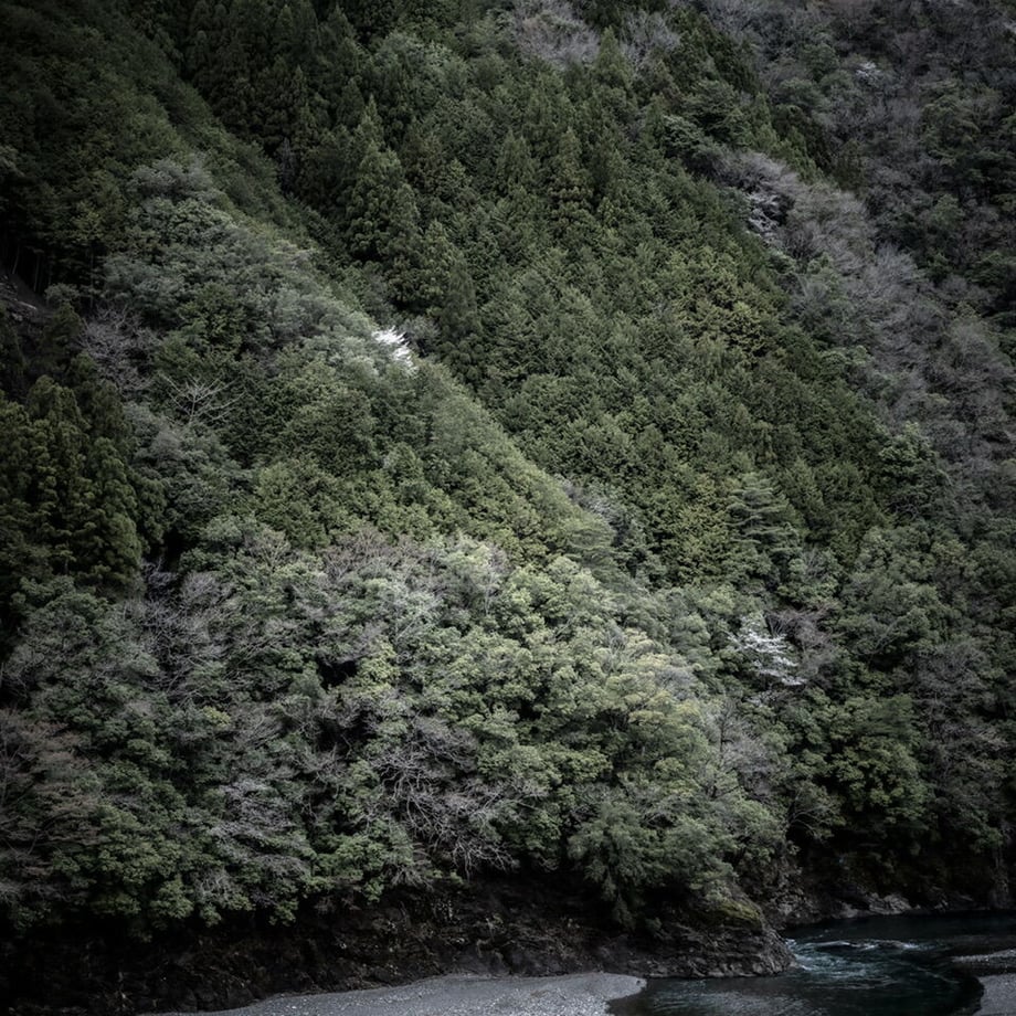 64f6513d8168c30048710d6d