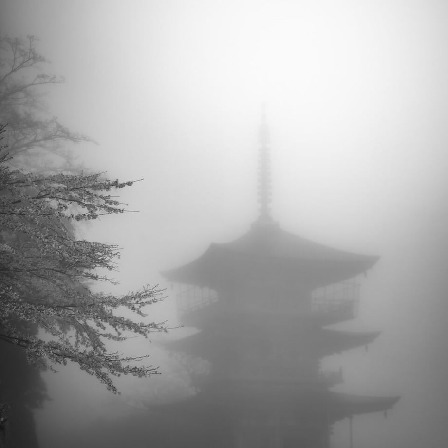 64f659808168c30048710e52