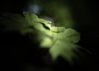 20250521120147.jpg