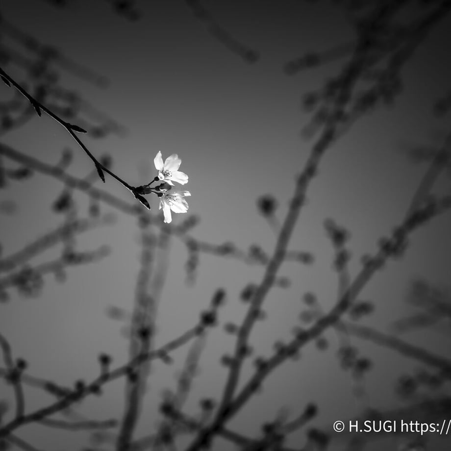 64f50c37fa2afe10486ec452