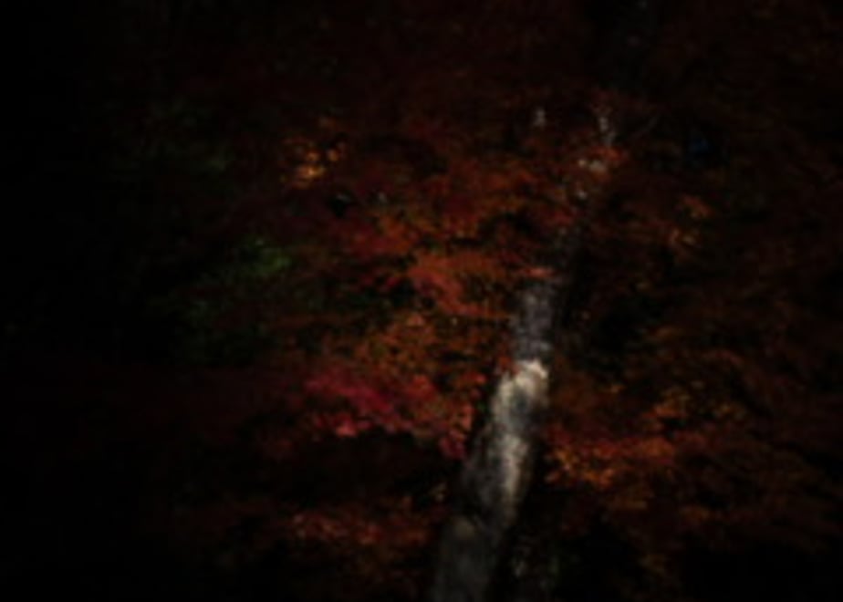 68207b697c149eda328e32c4