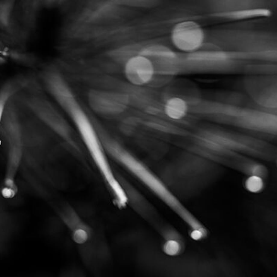 6123a386a92a781572d3de6d