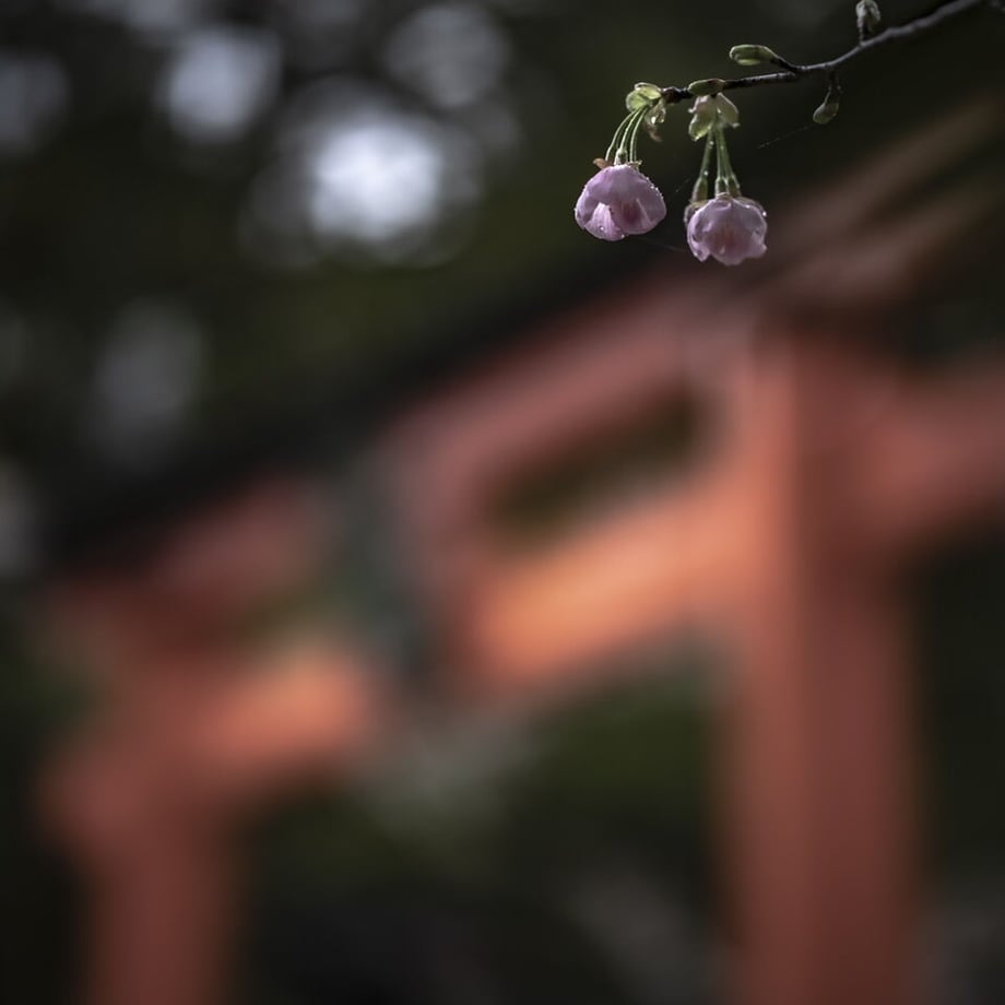 64f5748b70810900292001b5