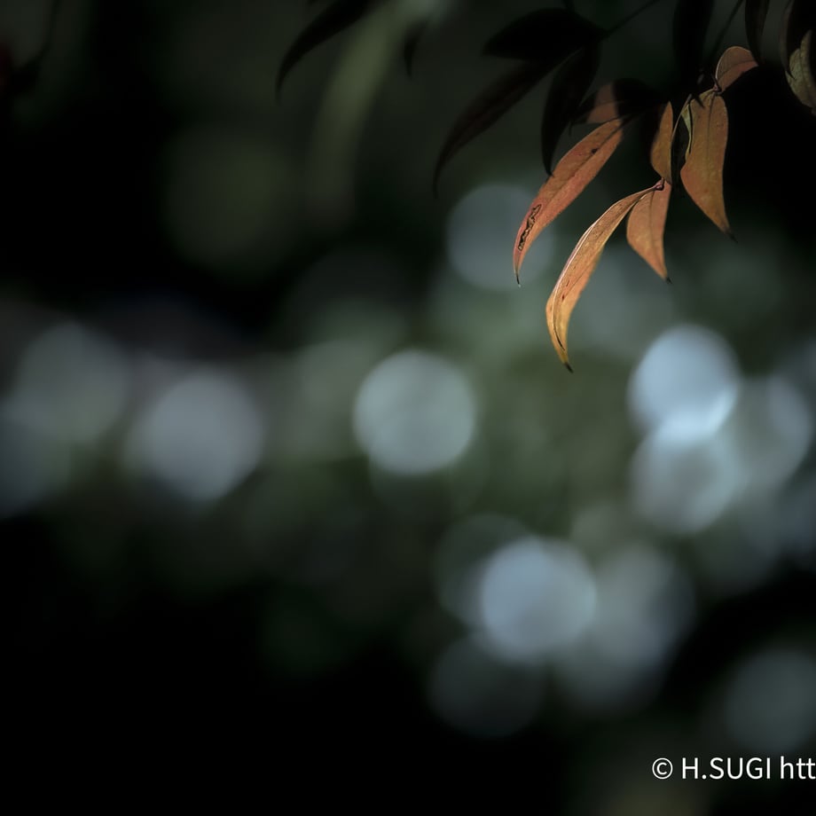 64f13101953729002b405437