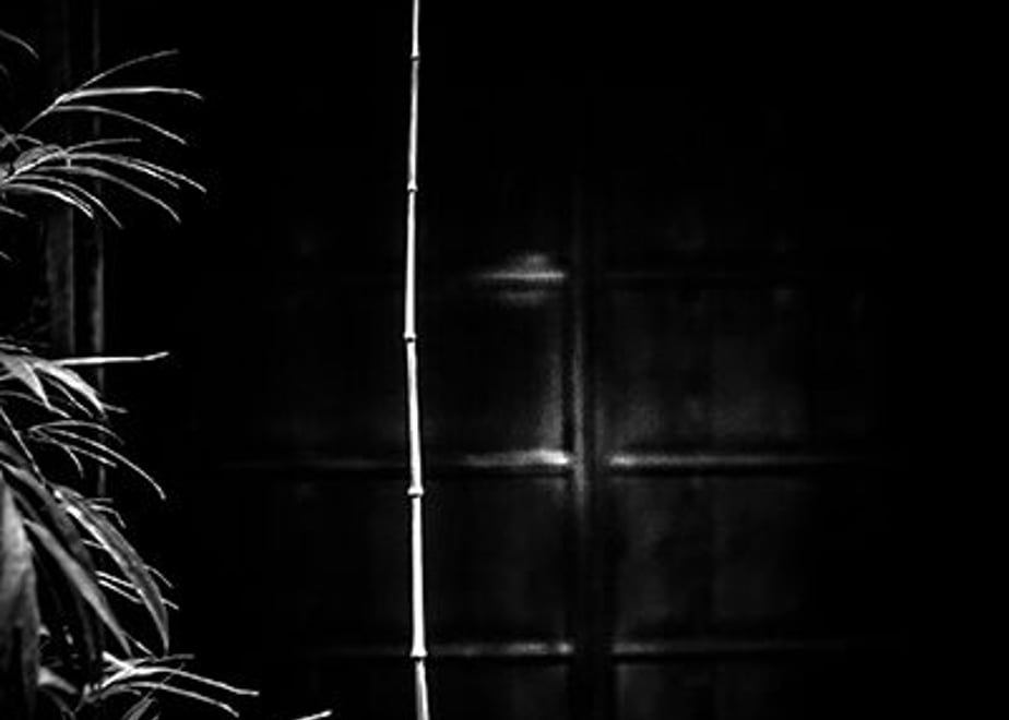 6123a1eb84ca6365b09c1d57