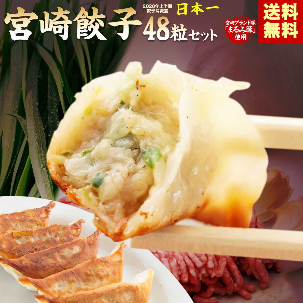 【送料無料】宮崎ブランドポーク使用餃子48粒
