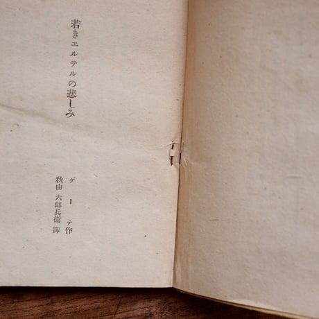 若きエルテルの悲しみ〈世界名作物語〉