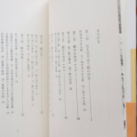 蛸の国