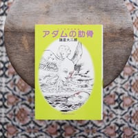 アダムの肋骨：SF怪奇短篇集〈奇想天外コミックス〉