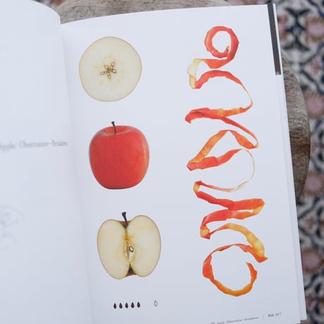 APPLE : Learning to Design, Designing to Learn