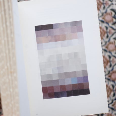 MINED Issue 1: field