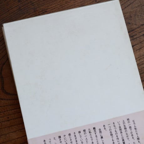 山のメルヒェン