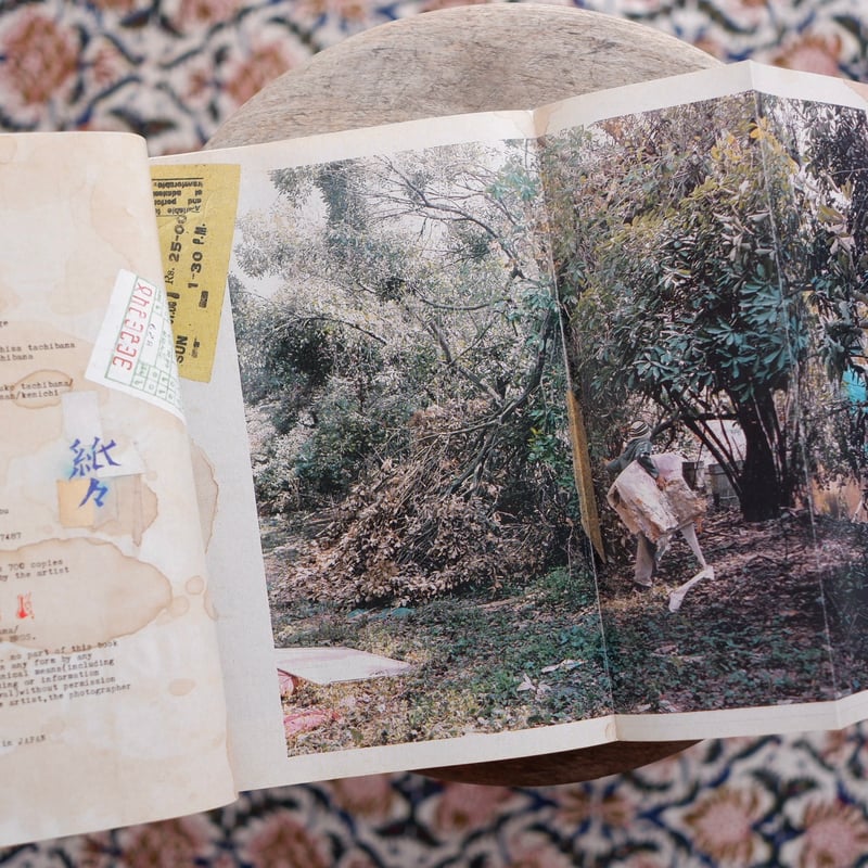 「紙々」立花文穂作品集　立花文穂 紙々 立花文穂作品集（著名入） | すなば書房