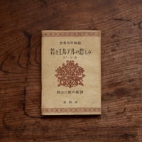 若きエルテルの悲しみ〈世界名作物語〉