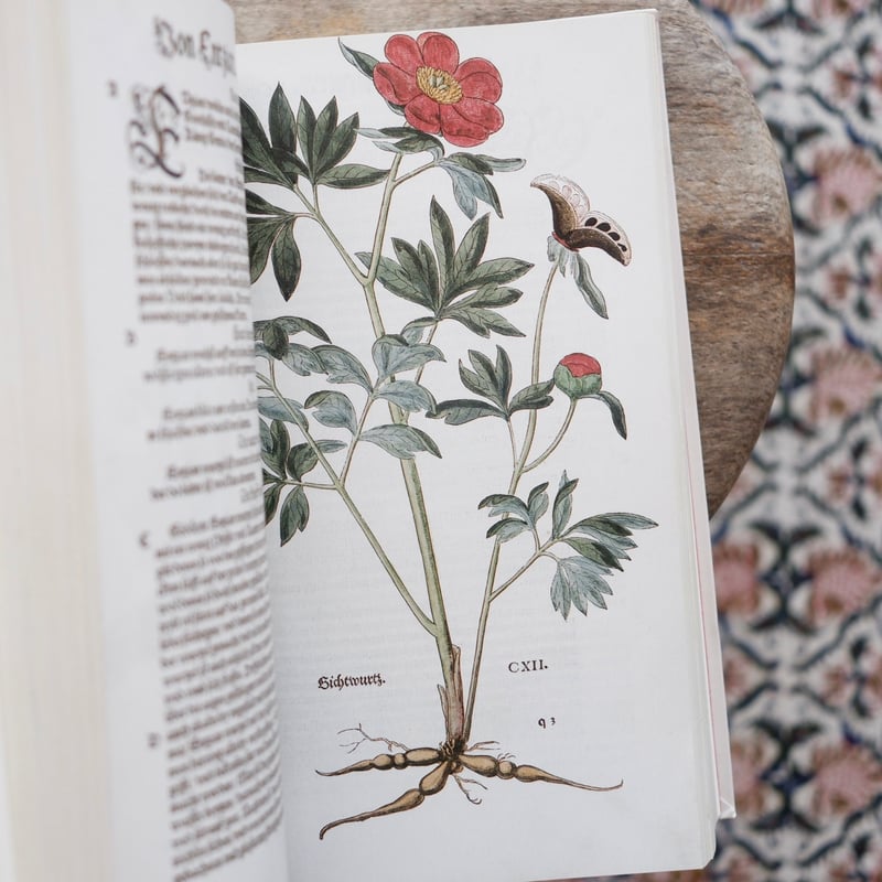 アート・デザイン・音楽 Leonhart Fuchs : The New Herbal of 1543 Leonhart Fuchs: The New Herbal of 1543 (Werner Dressendörfer