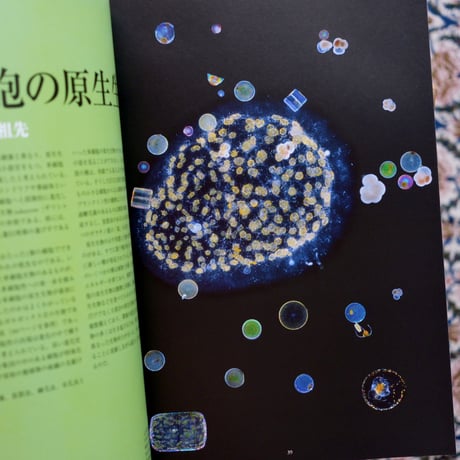 美しいプランクトンの世界：生命の起源と進化をめぐる