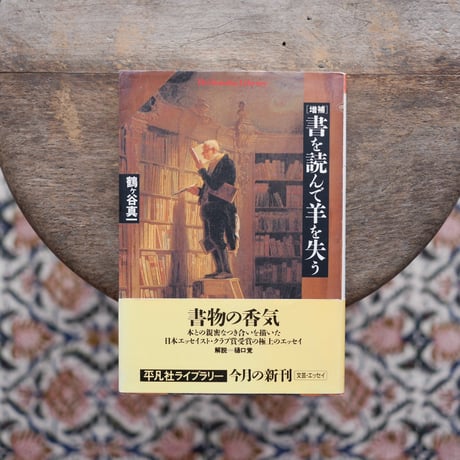 増補 書を読んで羊を失う