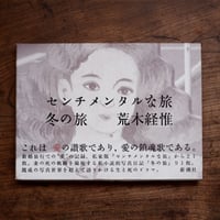 センチメンタルな旅・冬の旅