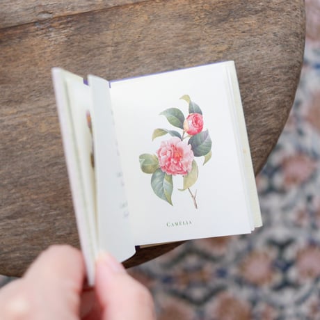 Le petit livre du langage des FLEURS