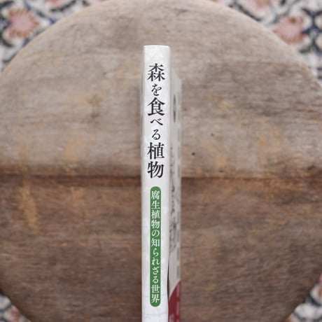森を食べる植物：腐生植物の知られざる世界