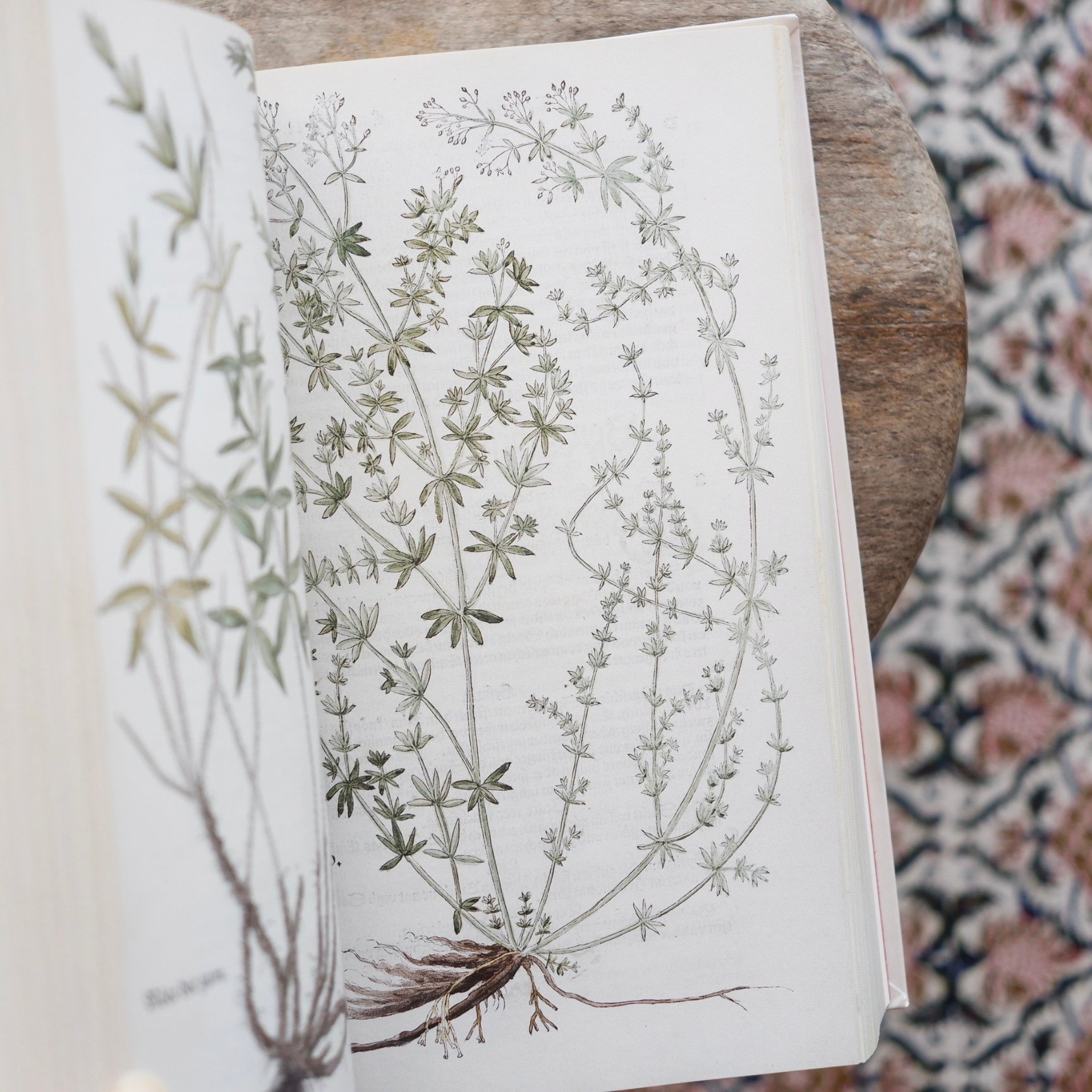 THE NEW HERBAL OF 1543〈復刻版〉 | すなば書房