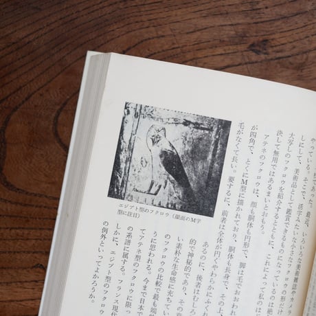 フクロウ：私の探梟記
