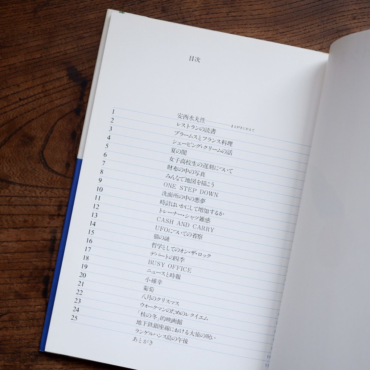 ランゲルハンス島の午後 | すなば書房