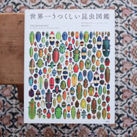 世界一うつくしい昆虫図鑑