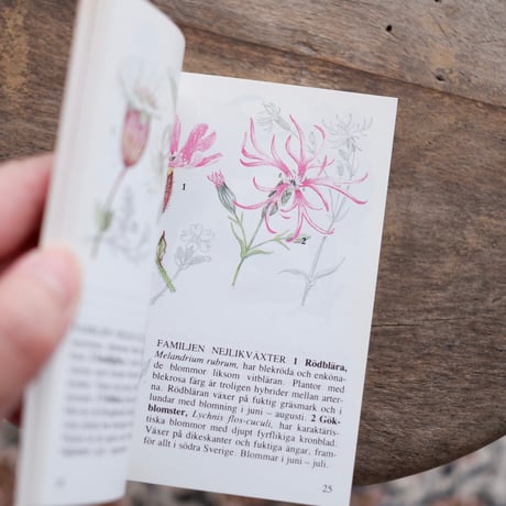 Fältflora