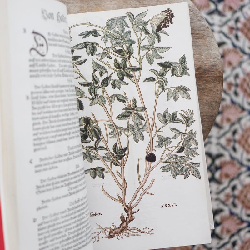 THE NEW HERBAL OF 1543〈復刻版〉 | すなば書房