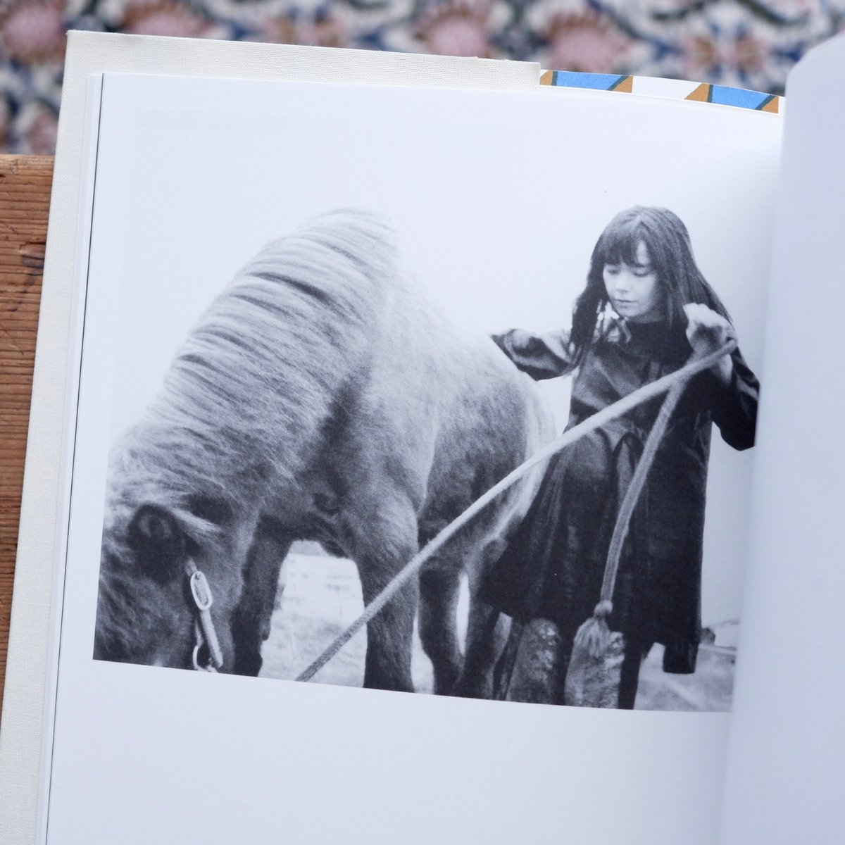 Bjork ビョーク 写真集 | すなば書房
