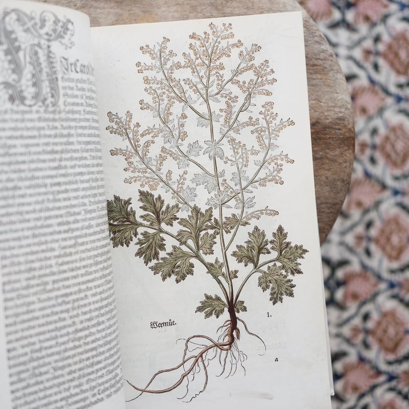 アート・デザイン・音楽 Leonhart Fuchs : The New Herbal of 1543 アート・デザイン・音楽 Leonhart Fuchs : The New Herbal of
