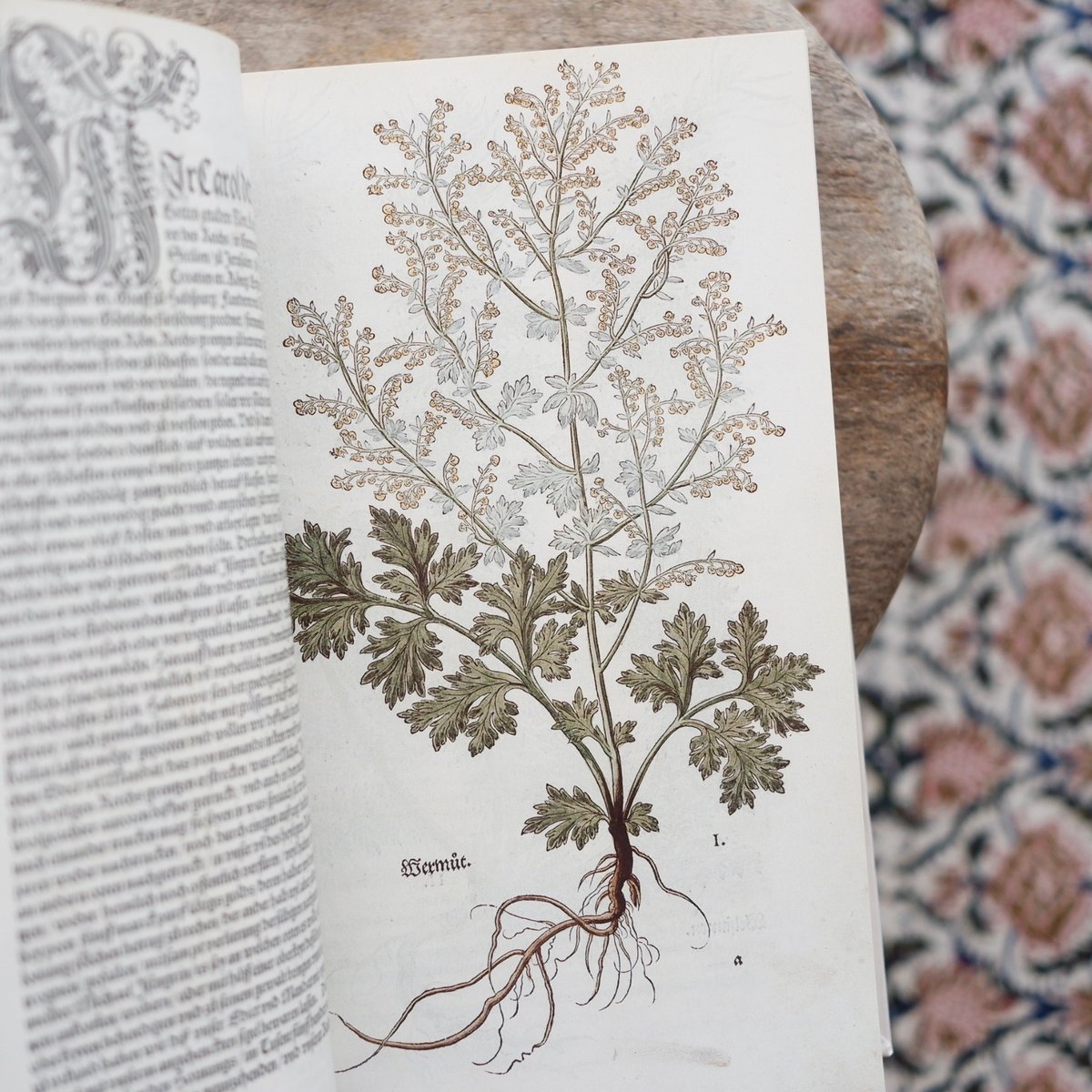 THE NEW HERBAL OF 1543〈復刻版〉 | すなば書房