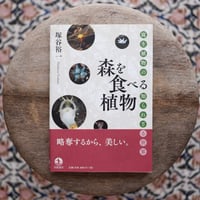 森を食べる植物：腐生植物の知られざる世界