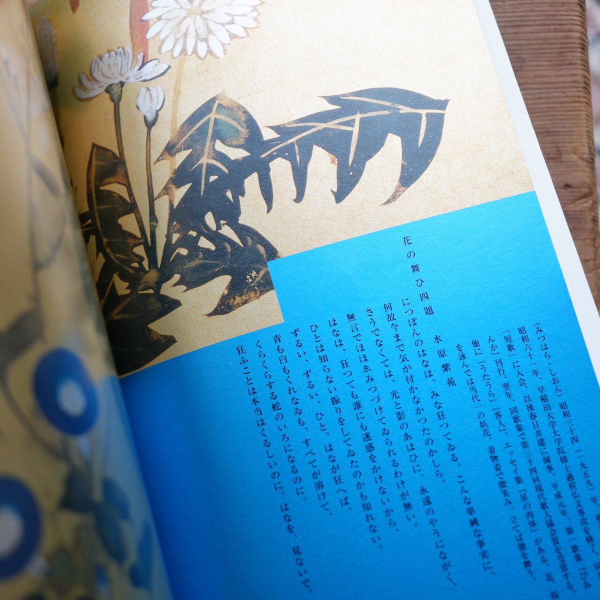古今 日本美術誌第一号：琳派花遊びの系譜 | すなば書房