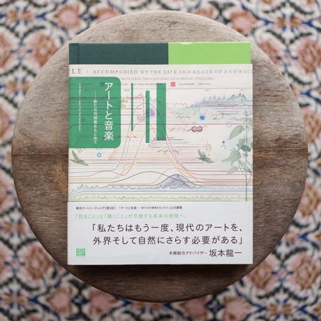 アートと音楽：新たな共感覚をもとめて