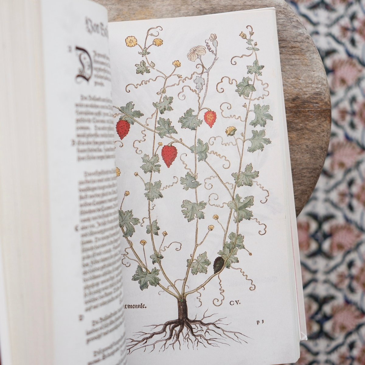 THE NEW HERBAL OF 1543〈復刻版〉 | すなば書房