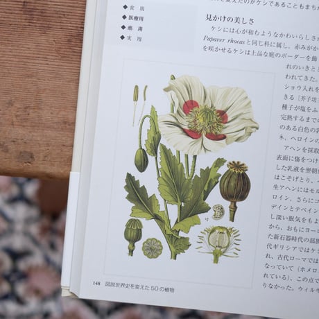 図説 世界史を変えた50の植物