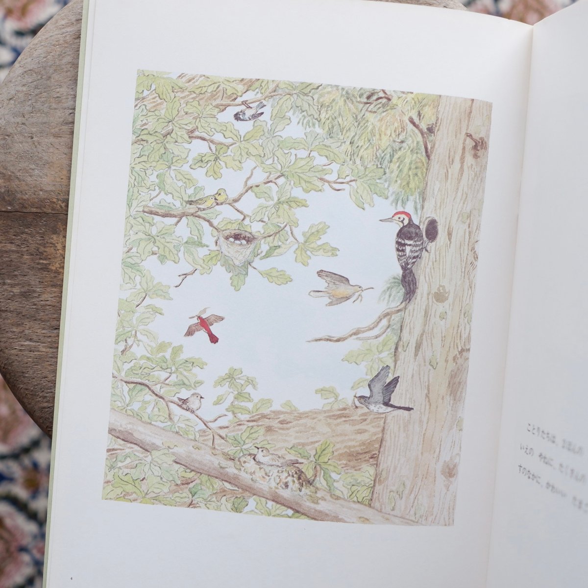 66このたまご〈「こどものとも」254号〉 | すなば書房