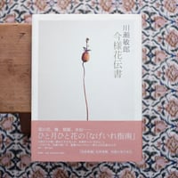 白の消息：骨壺から北園克衛まで | すなば書房